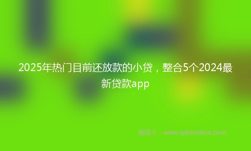 2025年热门目前还放款的小贷，整合5个2024最新贷款app