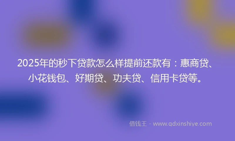 2025年的秒下贷款怎么样提前还款有：惠商贷、小花钱包、好期贷、功夫贷、信用卡贷等。