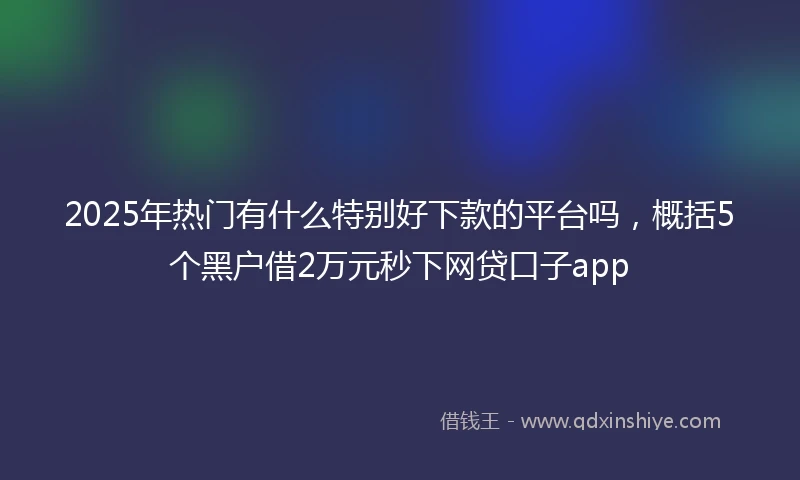2025年热门有什么特别好下款的平台吗，概括5个黑户借2万元秒下网贷口子app