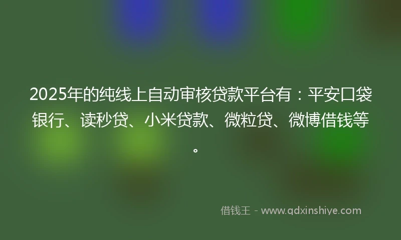 2025年的纯线上自动审核贷款平台有：平安口袋银行、读秒贷、小米贷款、微粒贷、微博借钱等。