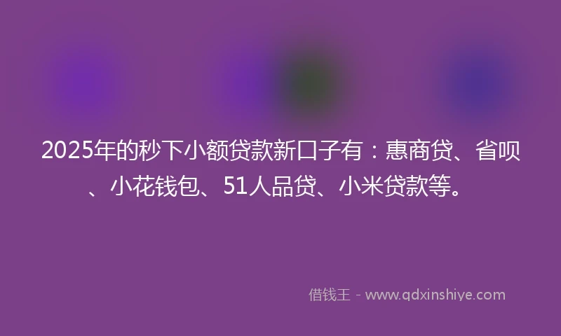 2025年的秒下小额贷款新口子有：惠商贷、省呗、小花钱包、51人品贷、小米贷款等。