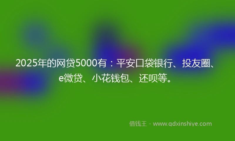 2025年的网贷5000有：平安口袋银行、投友圈、e微贷、小花钱包、还呗等。