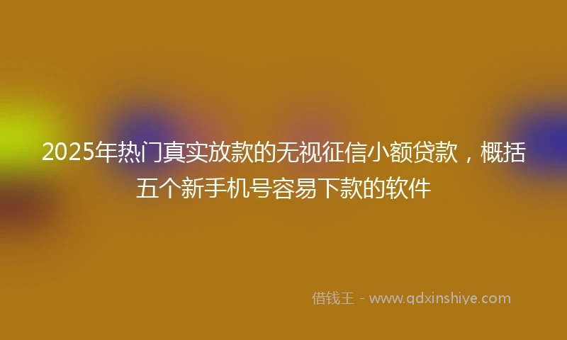 2025年热门真实放款的无视征信小额贷款，概括五个新手机号容易下款的软件