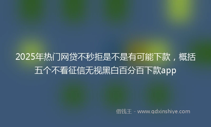 2025年热门网贷不秒拒是不是有可能下款，概括五个不看征信无视黑白百分百下款app