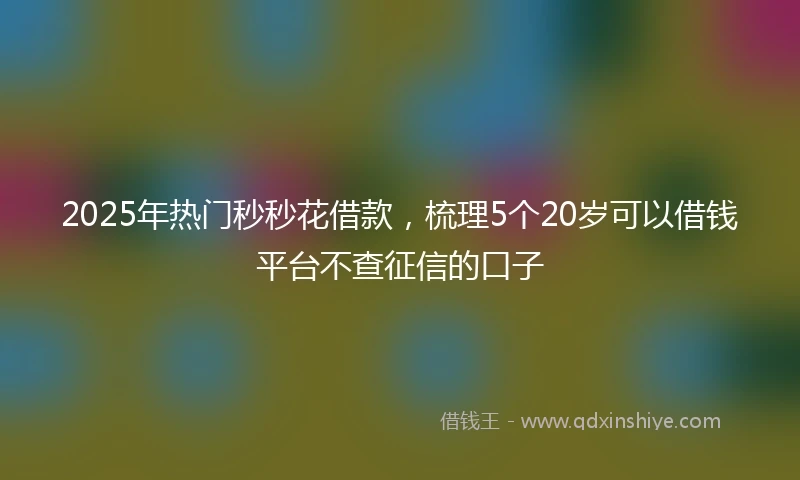2025年热门秒秒花借款，梳理5个20岁可以借钱平台不查征信的口子