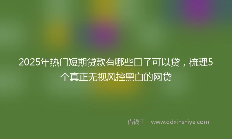 2025年热门短期贷款有哪些口子可以贷，梳理5个真正无视风控黑白的网贷