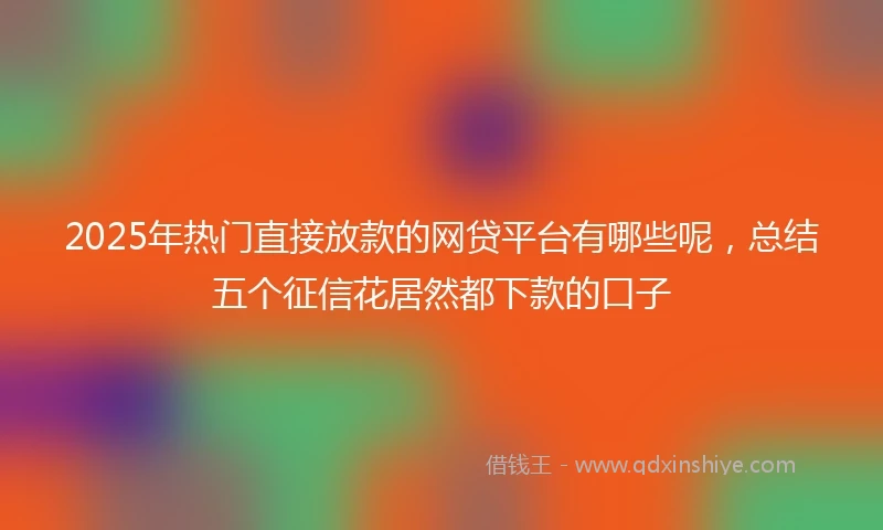 2025年热门直接放款的网贷平台有哪些呢，总结五个征信花居然都下款的口子