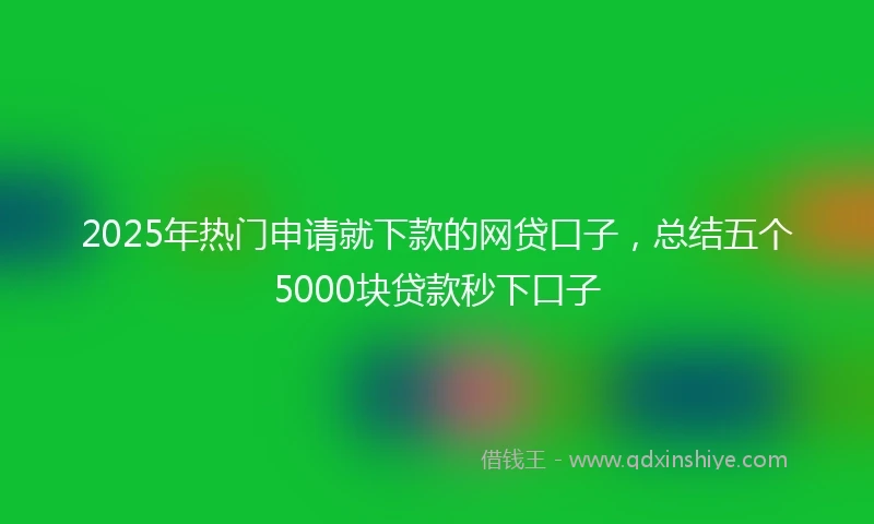 2025年热门申请就下款的网贷口子，总结五个5000块贷款秒下口子