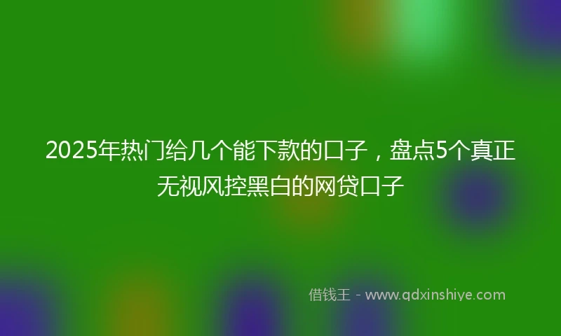 2025年热门给几个能下款的口子，盘点5个真正无视风控黑白的网贷口子