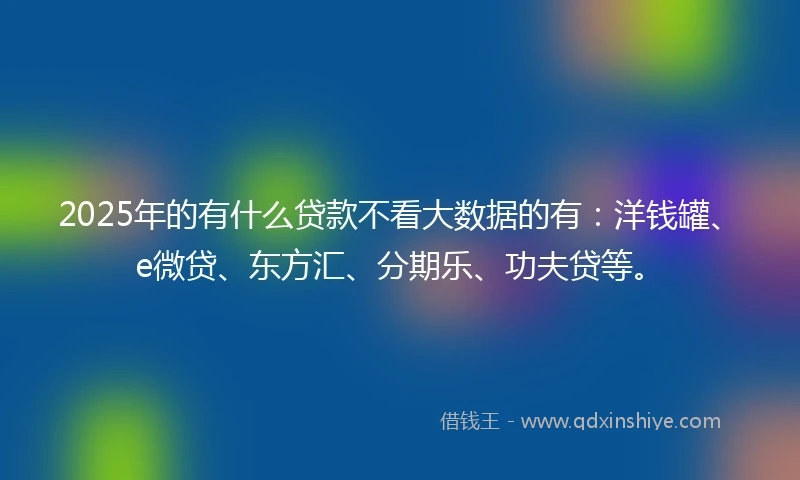 2025年的有什么贷款不看大数据的有：洋钱罐、e微贷、东方汇、分期乐、功夫贷等。