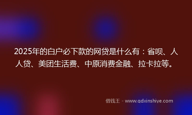2025年的白户必下款的网贷是什么有：省呗、人人贷、美团生活费、中原消费金融、拉卡拉等。