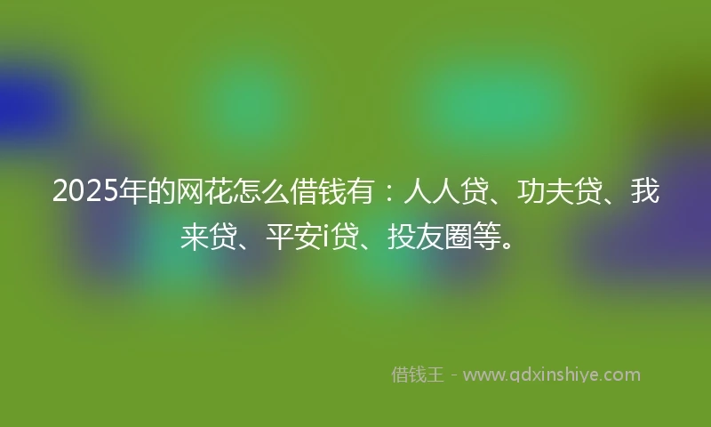 2025年的网花怎么借钱有：人人贷、功夫贷、我来贷、平安i贷、投友圈等。