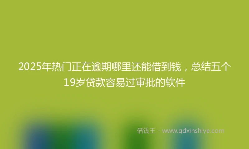 2025年热门正在逾期哪里还能借到钱，总结五个19岁贷款容易过审批的软件