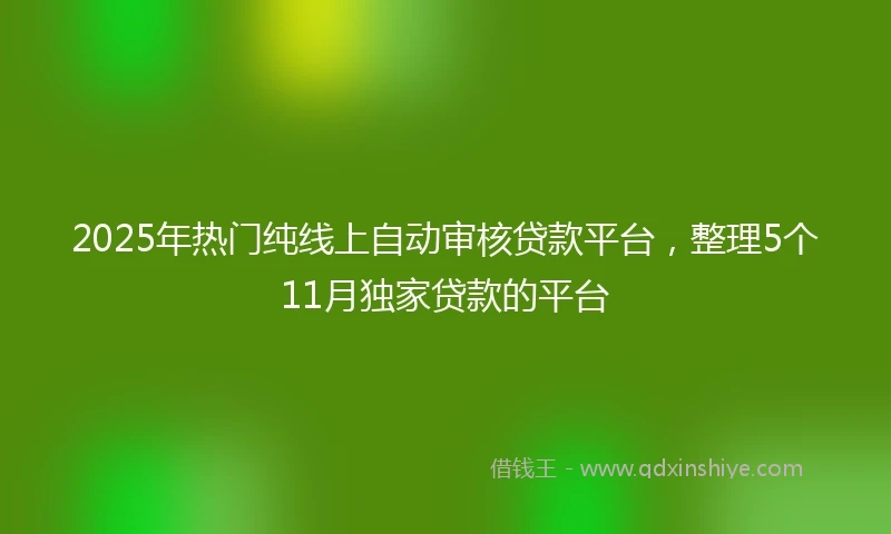 2025年热门纯线上自动审核贷款平台，整理5个11月独家贷款的平台