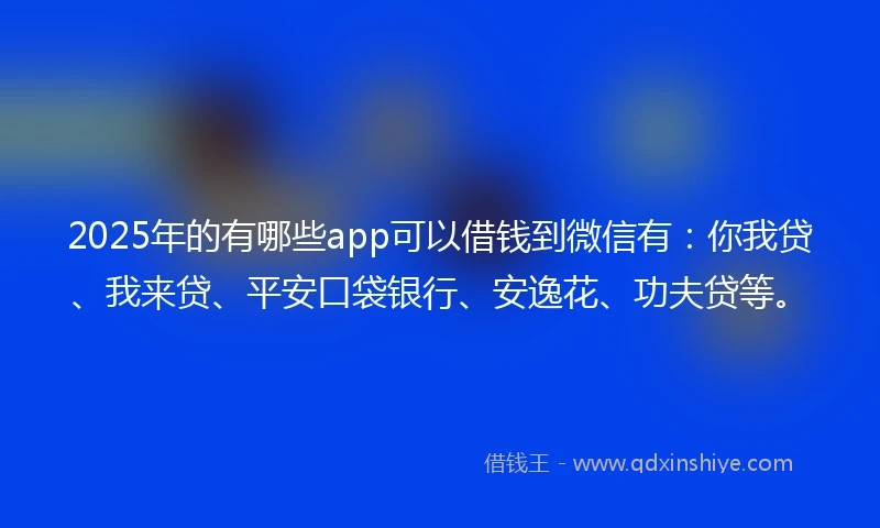 2025年的有哪些app可以借钱到微信有：你我贷、我来贷、平安口袋银行、安逸花、功夫贷等。