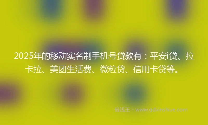 2025年的移动实名制手机号贷款有：平安i贷、拉卡拉、美团生活费、微粒贷、信用卡贷等。