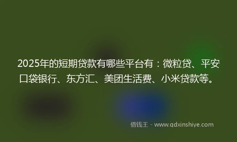 2025年的短期贷款有哪些平台有：微粒贷、平安口袋银行、东方汇、美团生活费、小米贷款等。