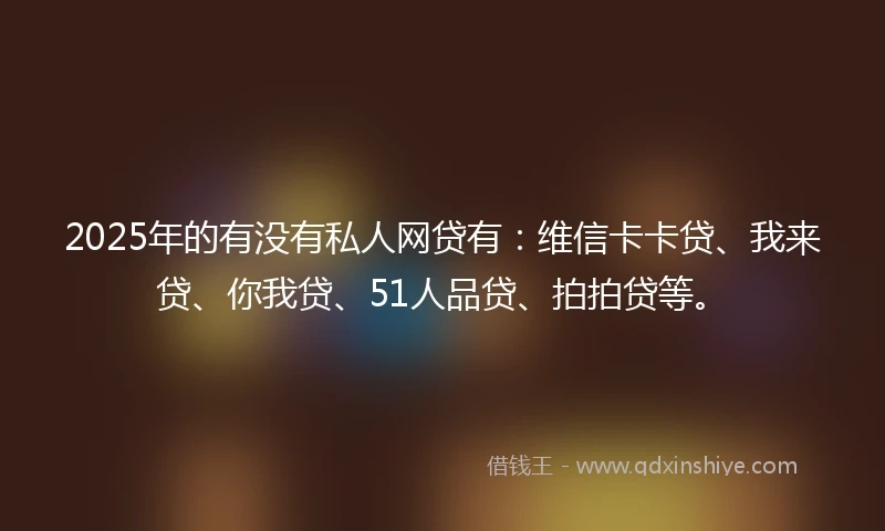 2025年的有没有私人网贷有：维信卡卡贷、我来贷、你我贷、51人品贷、拍拍贷等。