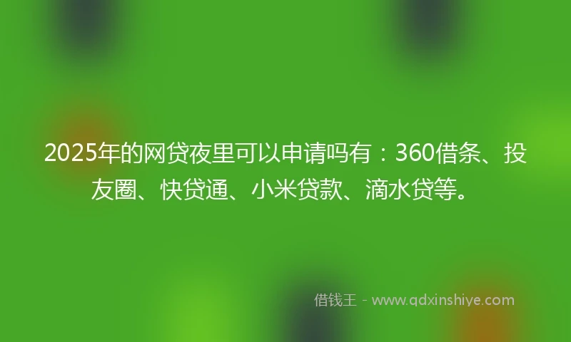2025年的网贷夜里可以申请吗有：360借条、投友圈、快贷通、小米贷款、滴水贷等。