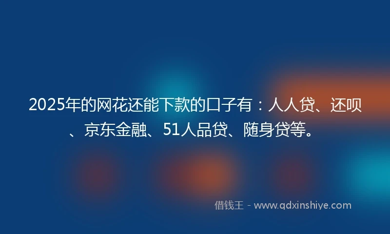 2025年的网花还能下款的口子有：人人贷、还呗、京东金融、51人品贷、随身贷等。