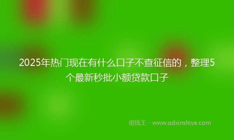2025年热门现在有什么口子不查征信的，整理5个最新秒批小额贷款口子