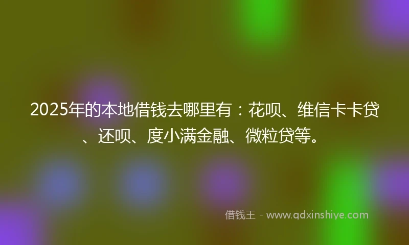 2025年的本地借钱去哪里有：花呗、维信卡卡贷、还呗、度小满金融、微粒贷等。