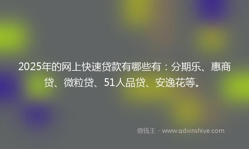 2025年的网上快速贷款有哪些有：分期乐、惠商贷、微粒贷、51人品贷、安逸花等。