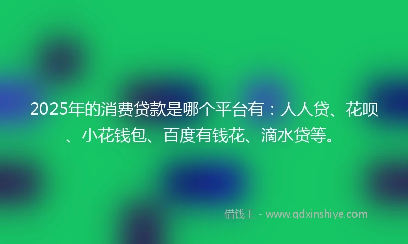 2025年的消费贷款是哪个平台有：人人贷、花呗、小花钱包、百度有钱花、滴水贷等。