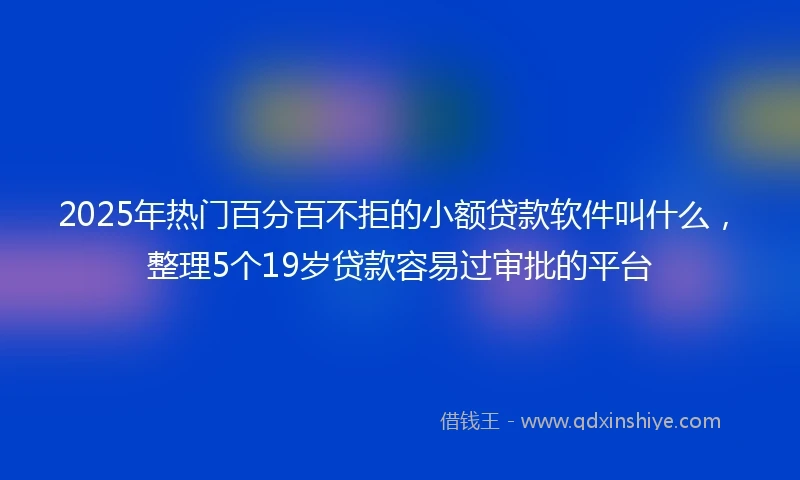 2025年热门百分百不拒的小额贷款软件叫什么，整理5个19岁贷款容易过审批的平台