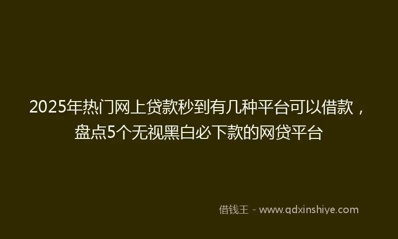 2025年热门网上贷款秒到有几种平台可以借款，盘点5个无视黑白必下款的网贷平台
