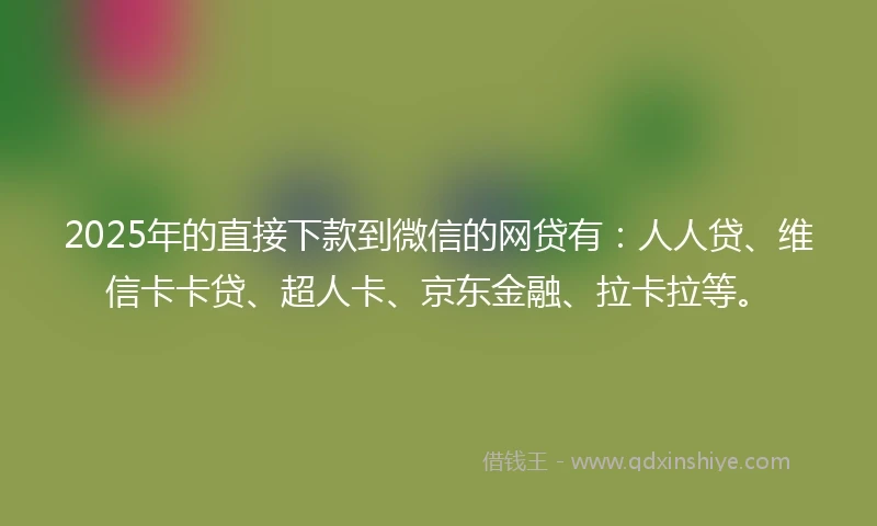 2025年的直接下款到微信的网贷有：人人贷、维信卡卡贷、超人卡、京东金融、拉卡拉等。