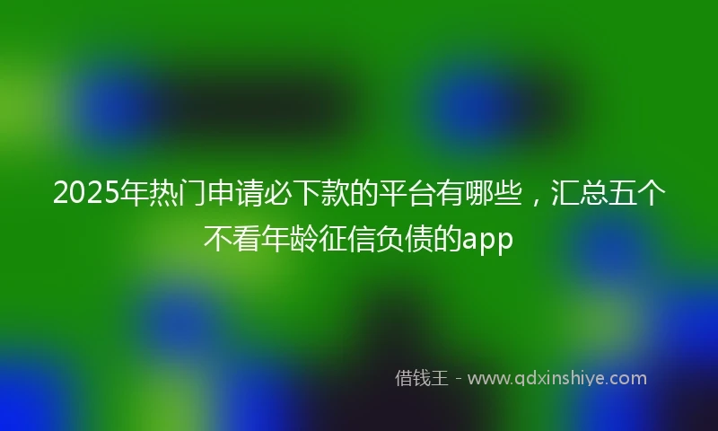 2025年热门申请必下款的平台有哪些，汇总五个不看年龄征信负债的app