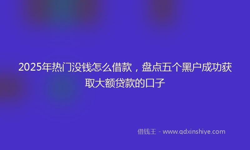 2025年热门没钱怎么借款，盘点五个黑户成功获取大额贷款的口子