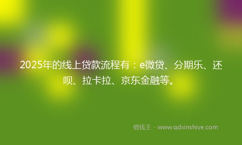 2025年的线上贷款流程有：e微贷、分期乐、还呗、拉卡拉、京东金融等。