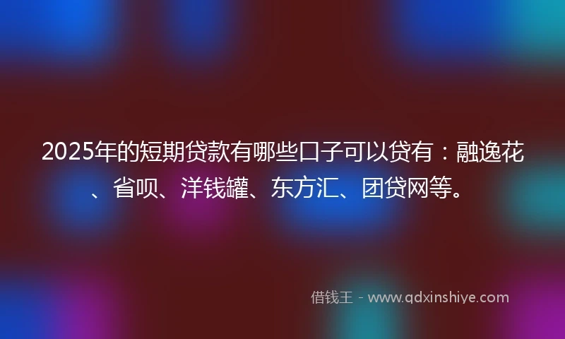 2025年的短期贷款有哪些口子可以贷有：融逸花、省呗、洋钱罐、东方汇、团贷网等。