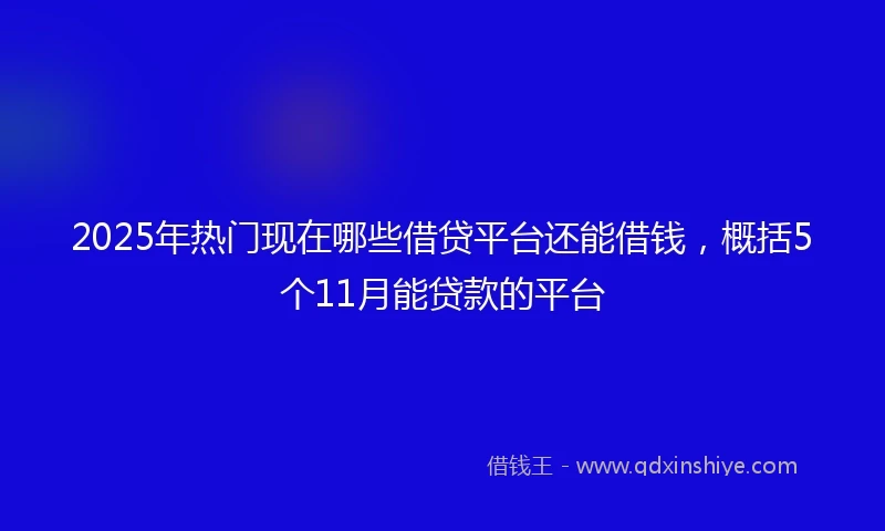 2025年热门现在哪些借贷平台还能借钱，概括5个11月能贷款的平台