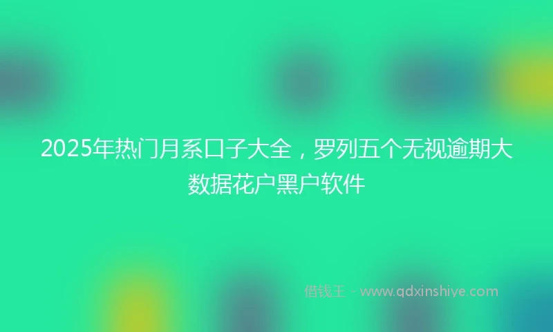 2025年热门月系口子大全，罗列五个无视逾期大数据花户黑户软件