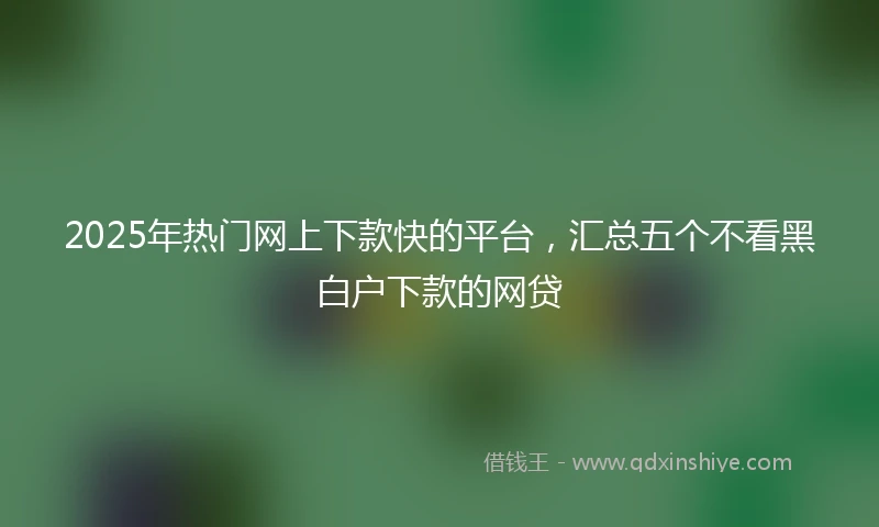 2025年热门网上下款快的平台，汇总五个不看黑白户下款的网贷