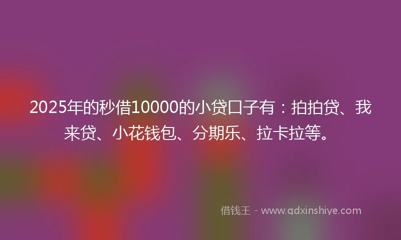 2025年的秒借10000的小贷口子有：拍拍贷、我来贷、小花钱包、分期乐、拉卡拉等。