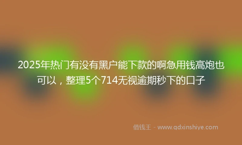 2025年热门有没有黑户能下款的啊急用钱高炮也可以，整理5个714无视逾期秒下的口子