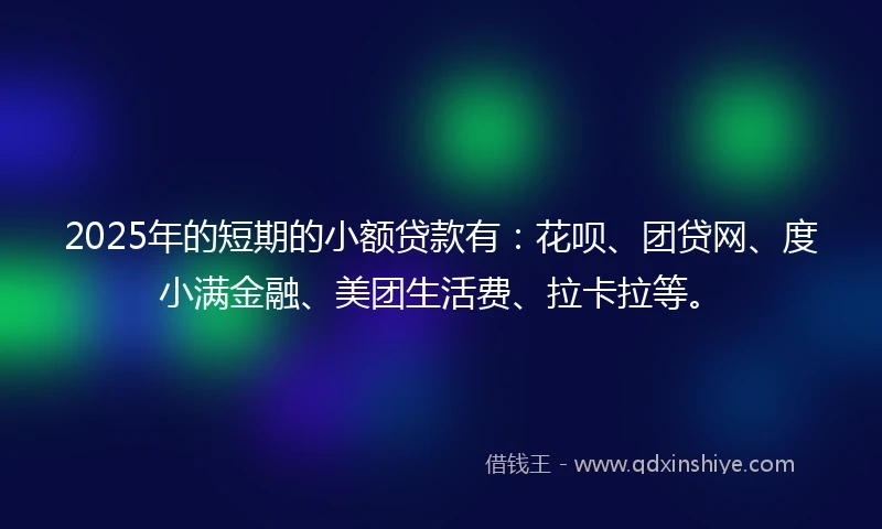 2025年的短期的小额贷款有：花呗、团贷网、度小满金融、美团生活费、拉卡拉等。