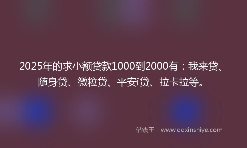 2025年的求小额贷款1000到2000有：我来贷、随身贷、微粒贷、平安i贷、拉卡拉等。