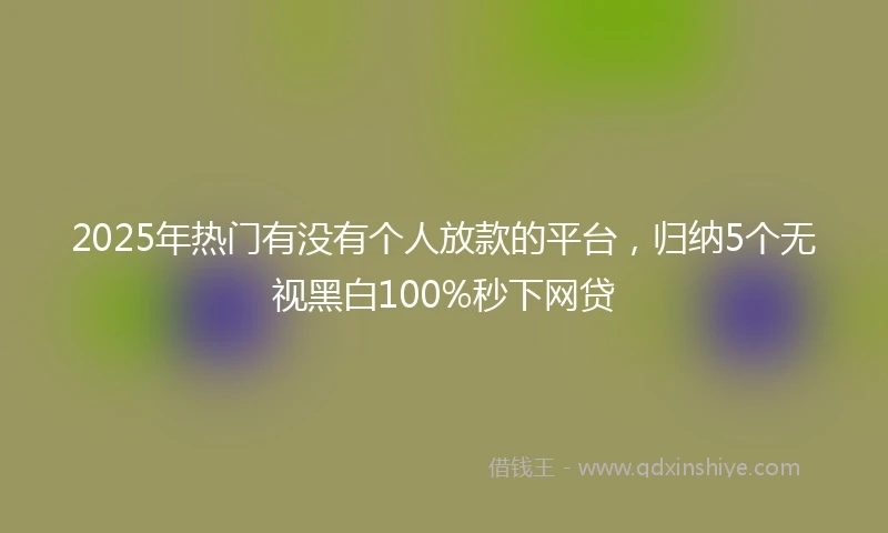 2025年热门有没有个人放款的平台，归纳5个无视黑白100%秒下网贷
