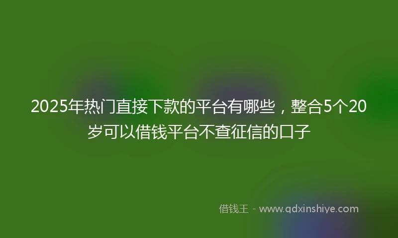 2025年热门直接下款的平台有哪些，整合5个20岁可以借钱平台不查征信的口子