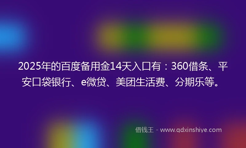 2025年的百度备用金14天入口有：360借条、平安口袋银行、e微贷、美团生活费、分期乐等。