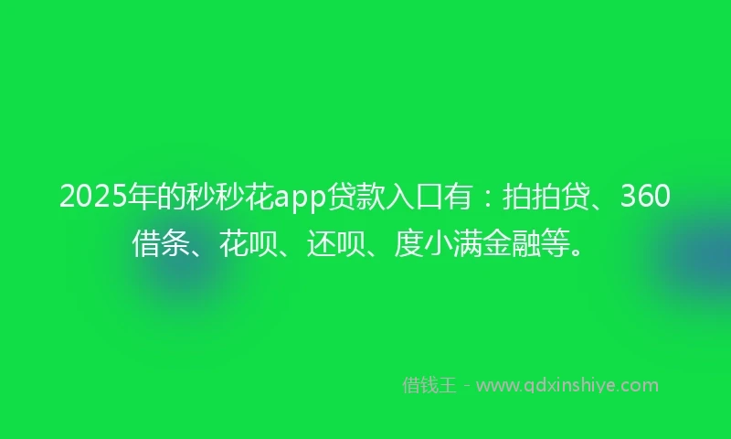 2025年的秒秒花app贷款入口有：拍拍贷、360借条、花呗、还呗、度小满金融等。