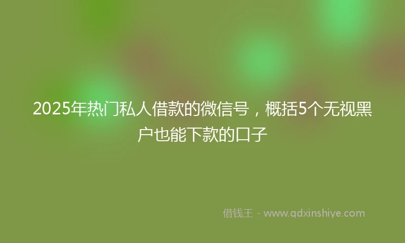 2025年热门私人借款的微信号，概括5个无视黑户也能下款的口子