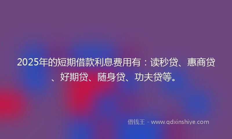2025年的短期借款利息费用有：读秒贷、惠商贷、好期贷、随身贷、功夫贷等。