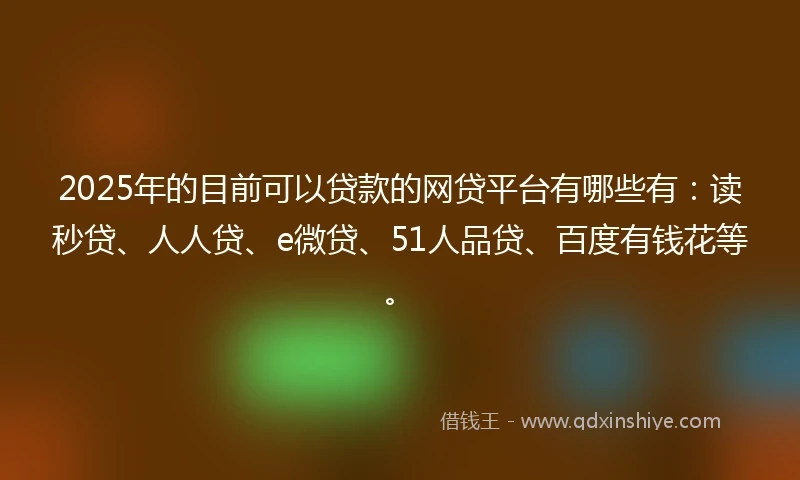2025年的目前可以贷款的网贷平台有哪些有：读秒贷、人人贷、e微贷、51人品贷、百度有钱花等。