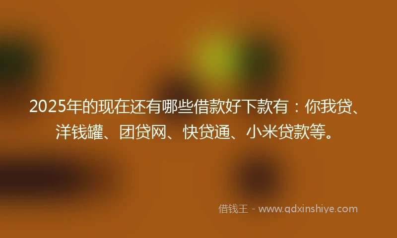 2025年的现在还有哪些借款好下款有：你我贷、洋钱罐、团贷网、快贷通、小米贷款等。